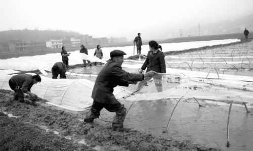 ����������������������˫����