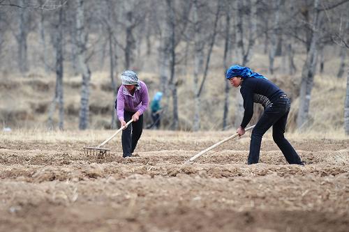 �ຣ����ԭ����æ