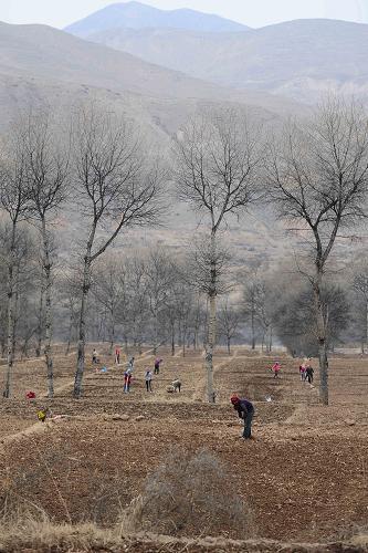 3��23�գ��ຣʡͬ�������ʹ�Ĵ����ڽ��д���������