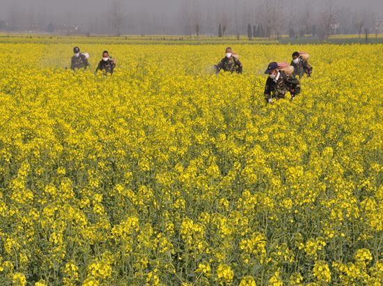 ����ͭ�꣺�Ͳ˸߲������߾��˲������ֳ����ٿ�