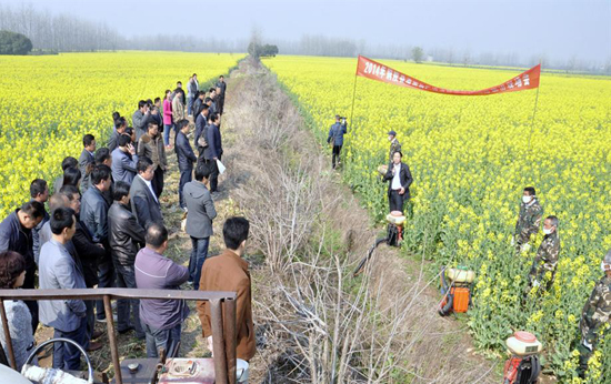 ����ͭ�꣺�Ͳ˸߲������߾��˲������ֳ����ٿ�2