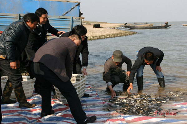 ���������п�չ2014�괺����ҵ��Դ�˹���ֳ�����