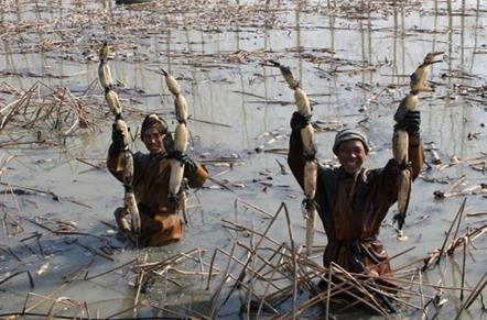 �������⣺ǧĶ��̲�� ����ź��С��Ϻ˫˫����