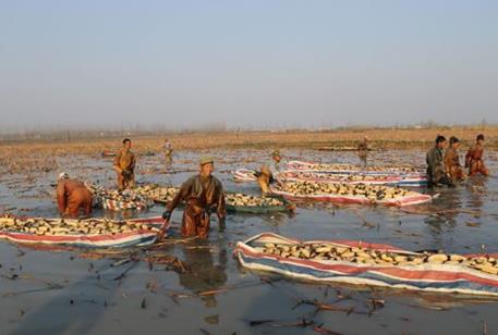 �������⣺ǧĶ��̲�� ����ź��С��Ϻ˫˫����2