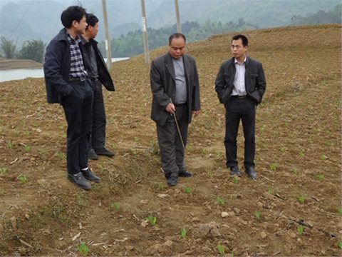 ����������Ķ�����׳���ϲ��