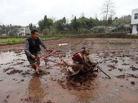 ������㡰��ţ�����ָ���æ ���񴺸�������