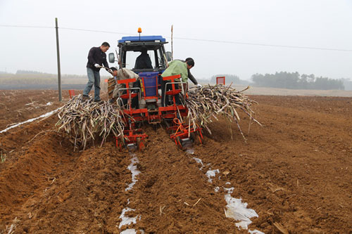 ����������15��Ķ��˫�ߡ���������ظ���ũ����ʵ��