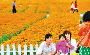 ������ȥ������û��ȥ ���ϻ�������ο��ļ���