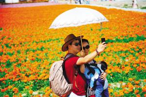 ���Ƿ�˻��������뻨���ԱȽ�