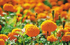 ������ȥ������û��ȥ ���ϻ�������ο��ļ���2