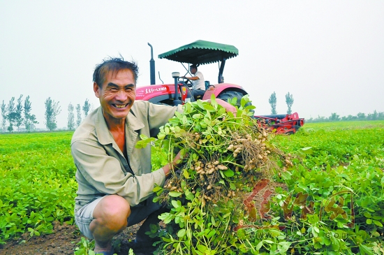 ���������У�˶������֦ͷ��ź׳��ʼ�Ѽ��