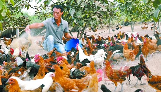 ���������У�˶������֦ͷ��ź׳��ʼ�Ѽ��2