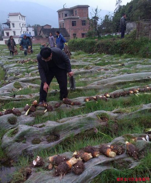 �������֣�ȫ�����ƹ����������ٽ���ֵ����