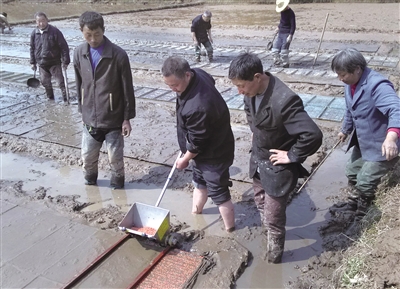 重庆涪陵蔺市农技人员把技术送到田坎上