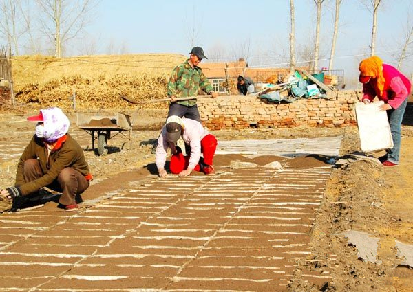 ɹĪ죺ɫ̬ũҵչ֮·