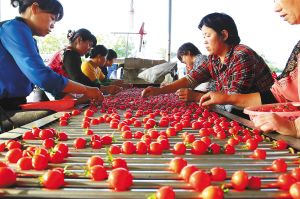 ������ˮ�����ʥŮ�� �����ܺ��