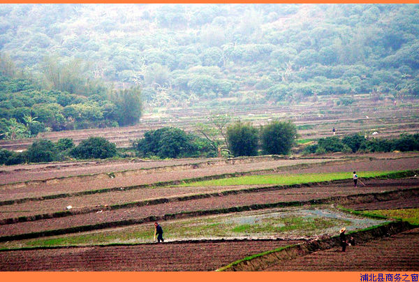 �����ֱ���ץũʱæ����