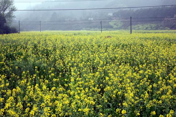 �Ͳ˻�����ϣ��