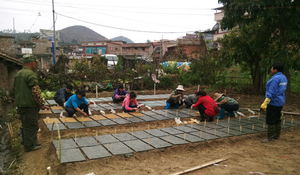 ������ɫ�����濪չ2014��ˮ���������������Թ���