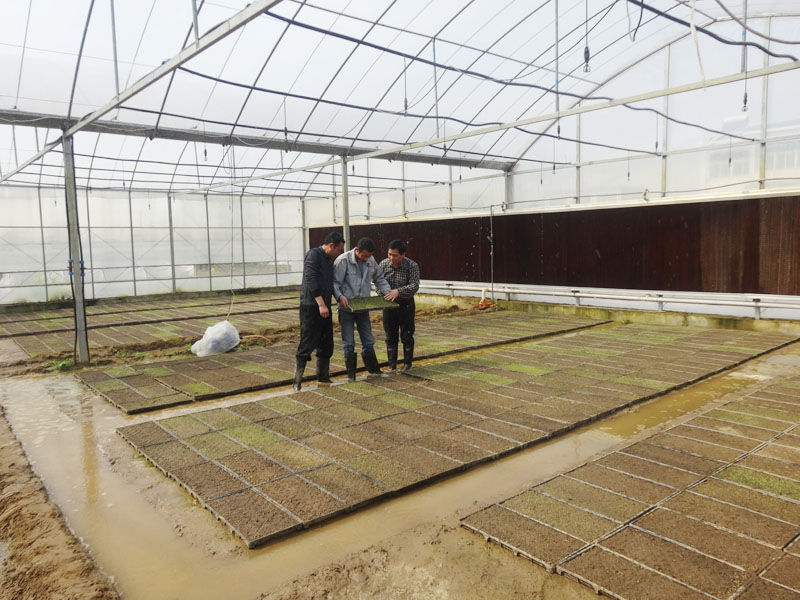 ���ջ�����ũ������Ա����ָ������������2