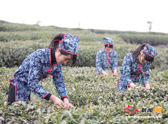 �㽭����ɣ�ޡ��Բ踻�� һö��Ҷ������򾭼�