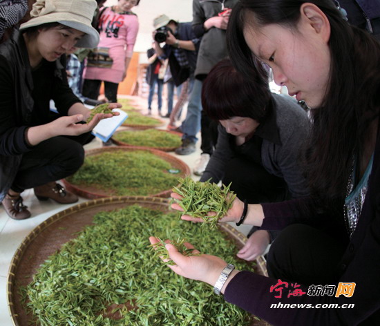 �㽭����ɣ�ޡ��Բ踻�� һö��Ҷ������򾭼�2