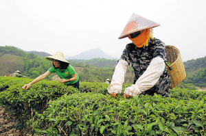 ������ָɽ��ˮ������ũ�� ũ��ɲ�æ