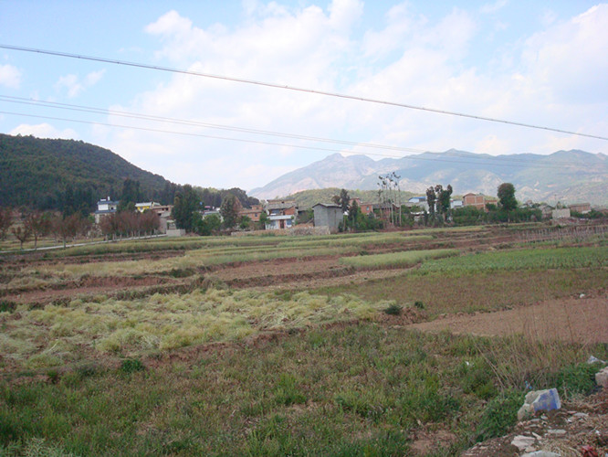 Ͻؽʵ2014СͲˡСֲ