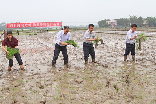 ��������������ˮ��������Ļ