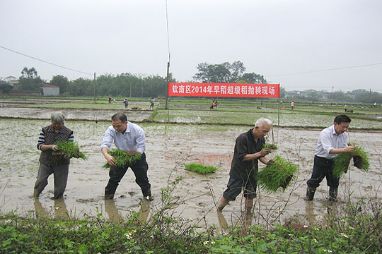 �������������������絾�����������߳�