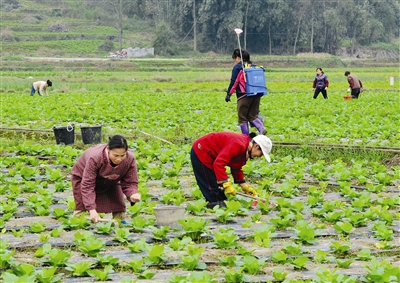 �����޳ǣ����ֵ� ũ��æ