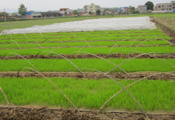 �������Ǹ��д������������ݱ