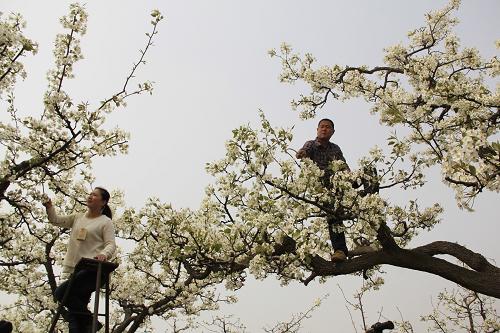 329գӱʡκعũΪ滨ڷۡ