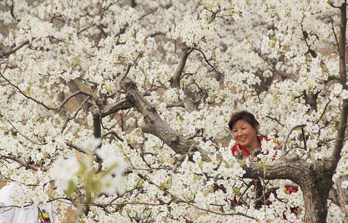 329գӱʡκعũΪ滨ڷۡ