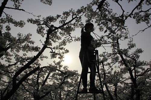 329գӱʡκعũΪ滨ڷۡ