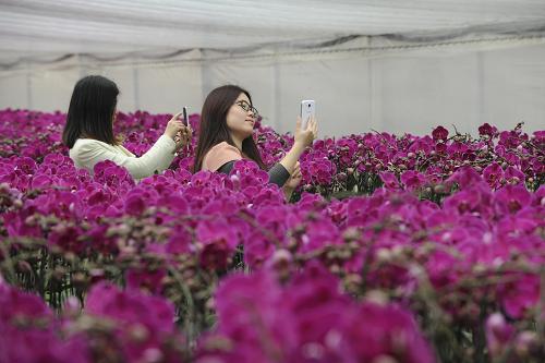 �㽭�ɾ��أ��߶�ũҵ��ƽ�¸�·