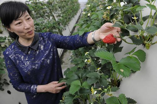 3��29�գ����㽭ʡ�ɾ��أ���ֲ���������ڽ�������������ֵ����������л���ݮ