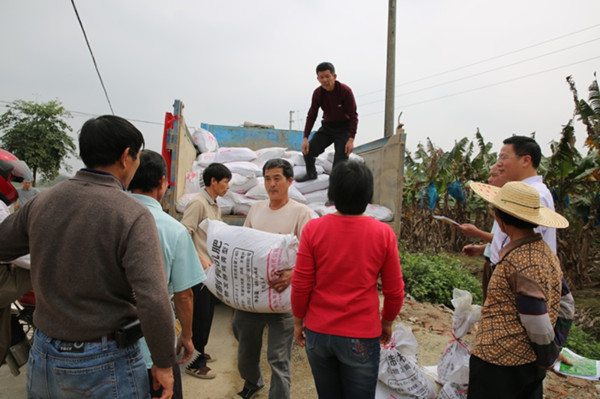 广东江门市农科所到恩平市顶冲村举办科技下乡活动