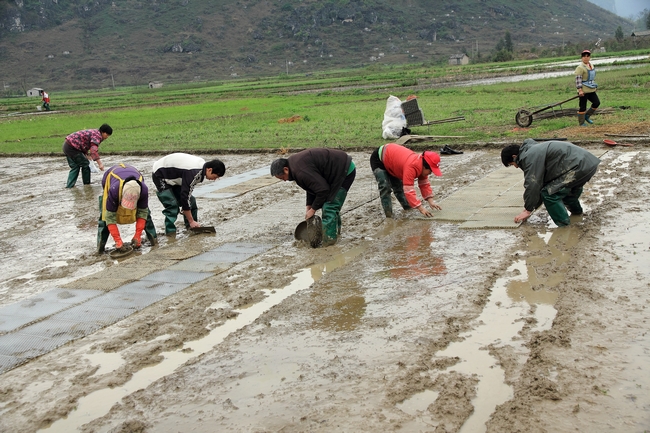 �����������絾����������