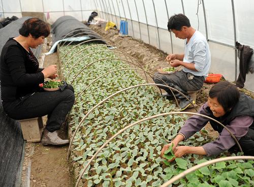 �㽭�����б��������������缾 ũ��æ�޽�