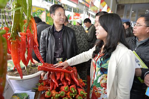 328գλũϹۿƼ޹˾Ʒֶʤ2Ŵǽƽ125170ˣʺԽ紺