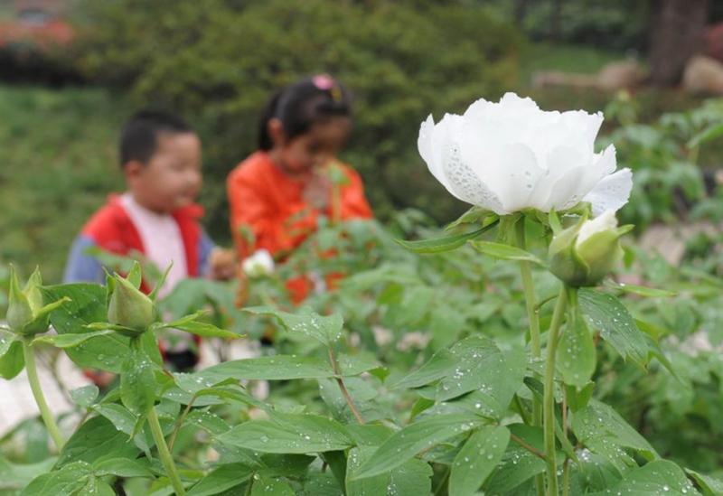 ����ͭ��ĵ����ǰ����2