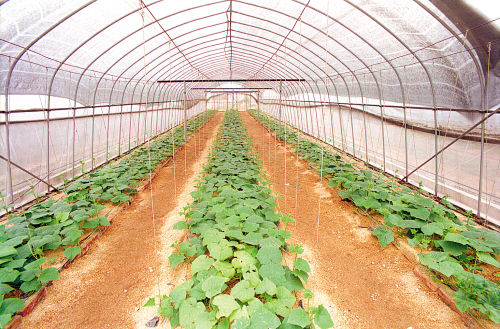 㶫ɽбŷչáͲˡߵøԶ