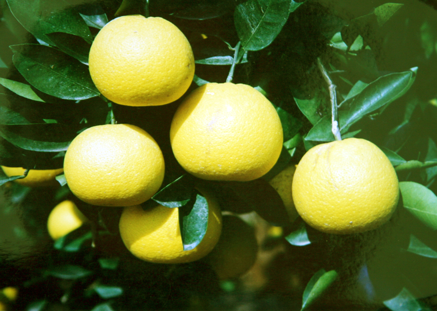 �����ʹ�