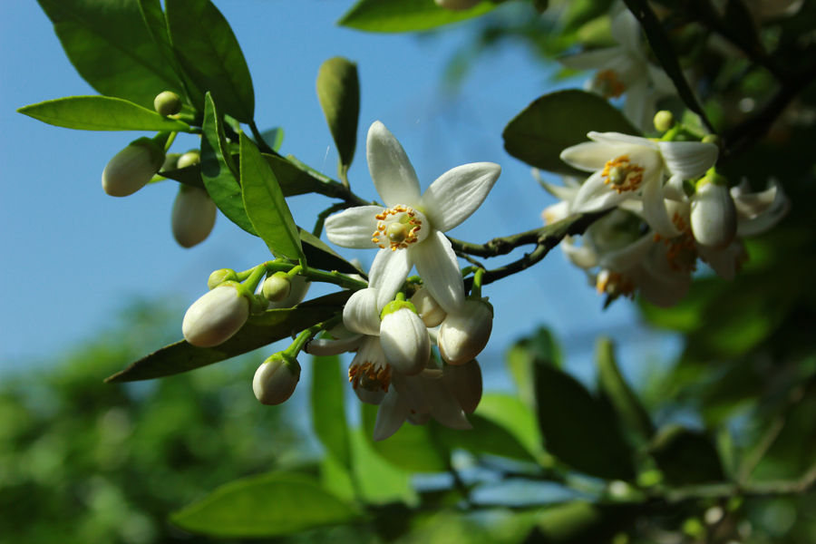 ���ֻ���