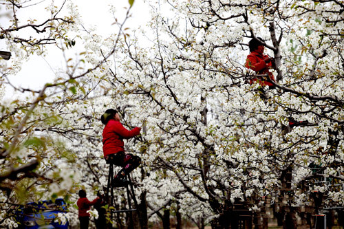 ���������أ�������֮�硱����������ũ��