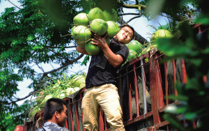 �����Ĳ����������פ����塰����Ҭ��