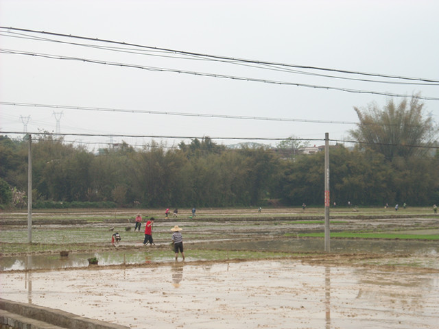����������������ץ��ץ���ִ���