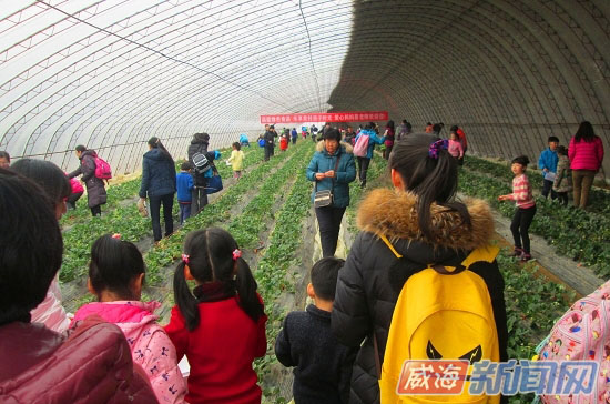 ɽ���ٳɣ������չ�۹�ũҵ ��ݮ��ժ�ο�����ũ����