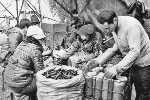 �������ֿڣ���ľ������ͻ��3�ڴ�